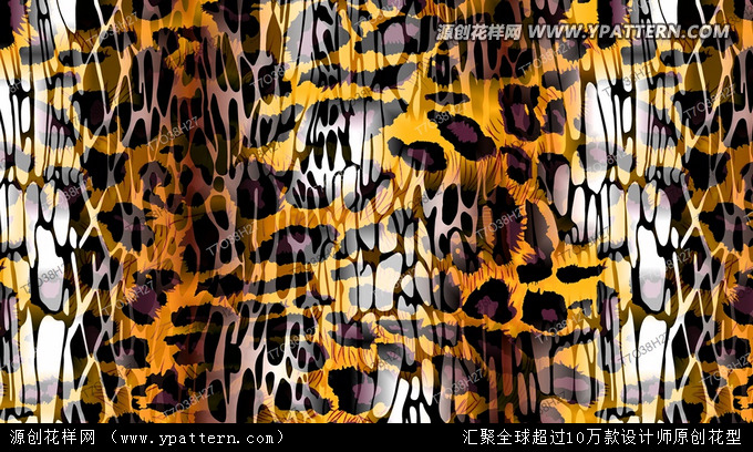 (sh)aӡD OӋ Բ y OӋ